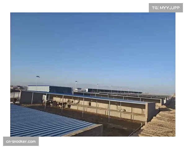 评论:守护者队牛棚使用强度全联盟最高,长局数先发缺失问题凸显